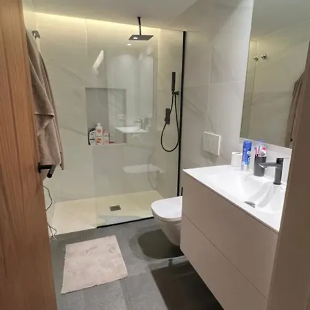 Maison Du Plaisir Apartment Renens
