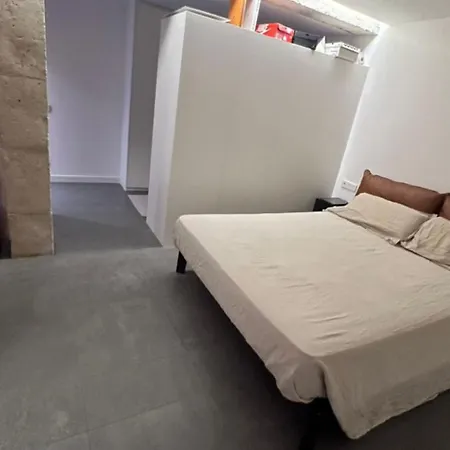 Maison Du Plaisir Apartment Renens